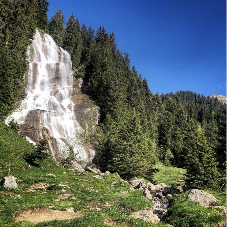 Micro-Lodge, Le Petit Nid D'Amour Montriond Εξωτερικό φωτογραφία