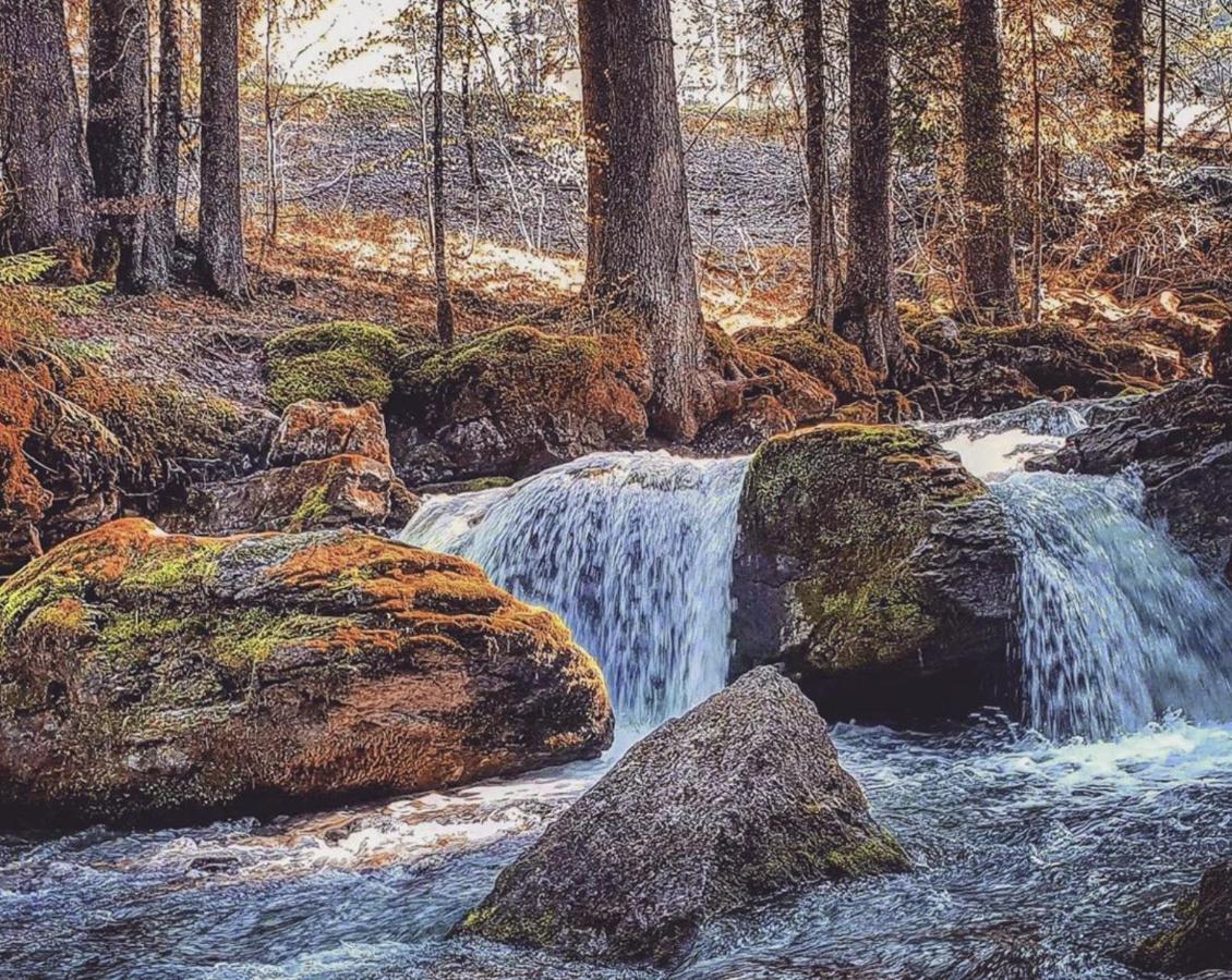 Micro-Lodge, Le Petit Nid D'Amour Montriond Εξωτερικό φωτογραφία