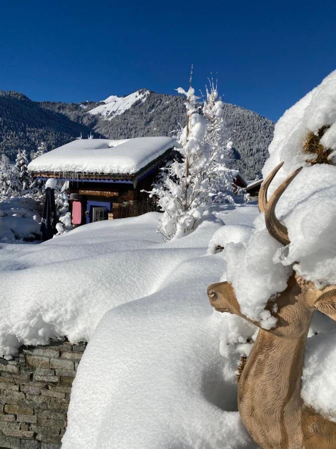 Micro-Lodge, Le Petit Nid D'Amour Montriond Εξωτερικό φωτογραφία