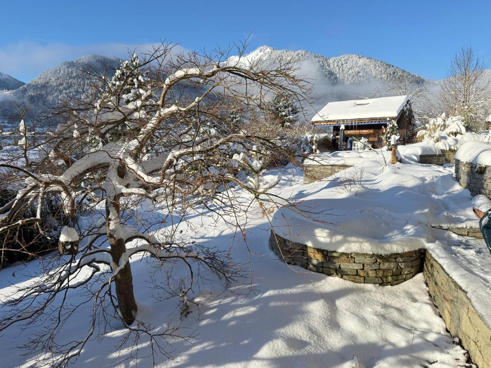 Micro-Lodge, Le Petit Nid D'Amour Montriond Εξωτερικό φωτογραφία
