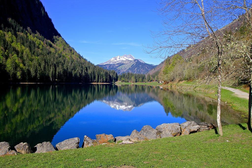 Micro-Lodge, Le Petit Nid D'Amour Montriond Εξωτερικό φωτογραφία