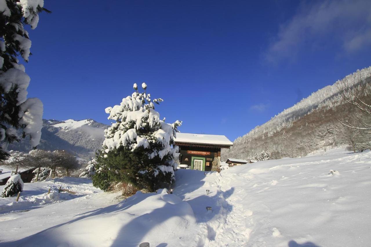 Micro-Lodge, Le Petit Nid D'Amour Montriond Εξωτερικό φωτογραφία